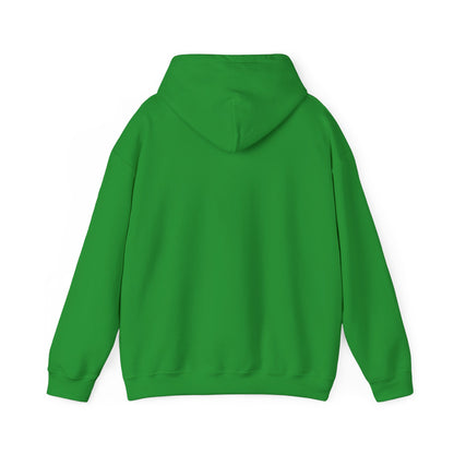 TEKNIK TMNT Hoodie